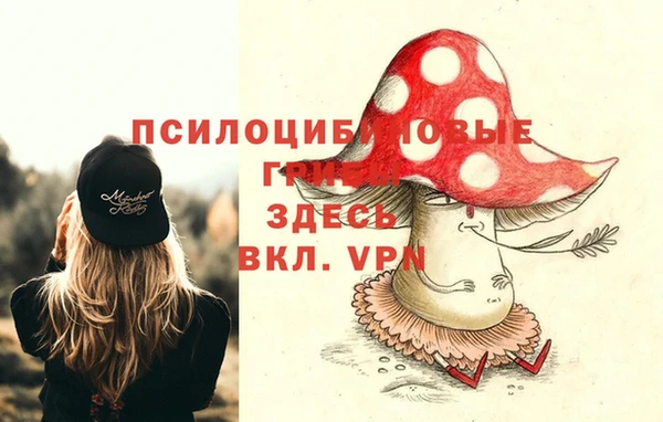 бутират Алексеевка
